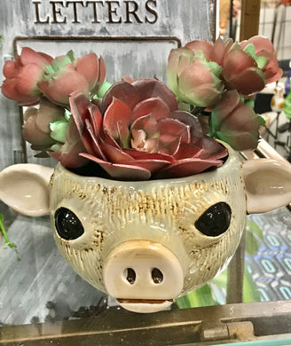 Country Charm Pig Lover's gift Adorable Ceramic Pig Planter