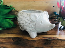 Load image into Gallery viewer, Hedgehog Ceramic Cute Mini Animal Succulent Planter Pot