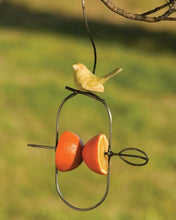 Load image into Gallery viewer, Oriole Bird Fruit feeder