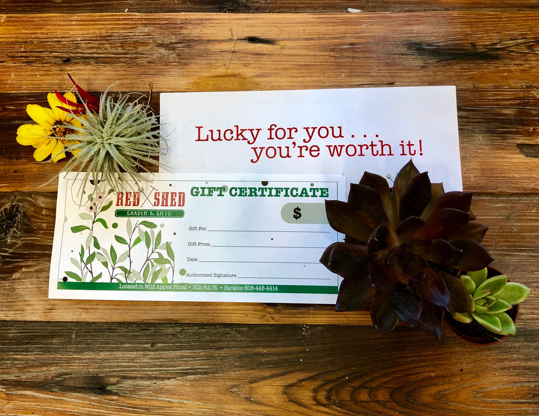 $100 Gift Certificate |  Holiday Shopping Starting Today