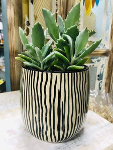 Clearance Ceramic Tan Planter pot with Black Vertical Stripes