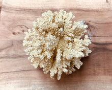 Load image into Gallery viewer, Faux Coral Christmas tree ornaments Diamond sparkle glitter