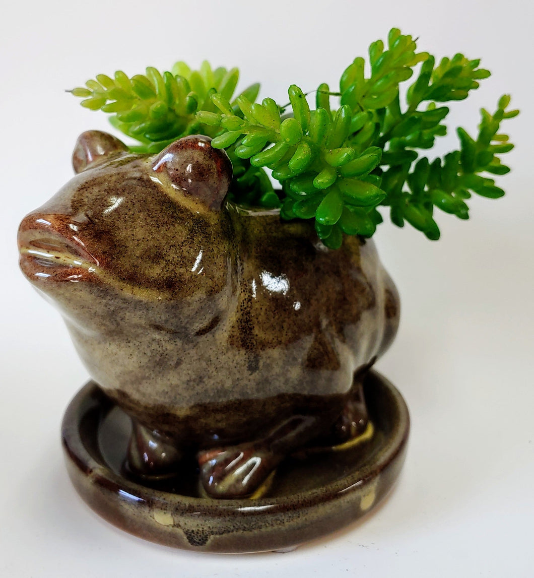 Ceramic Frog Planter with attached saucer