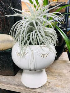 6" tall modern ceramic face planter pot succulents vase