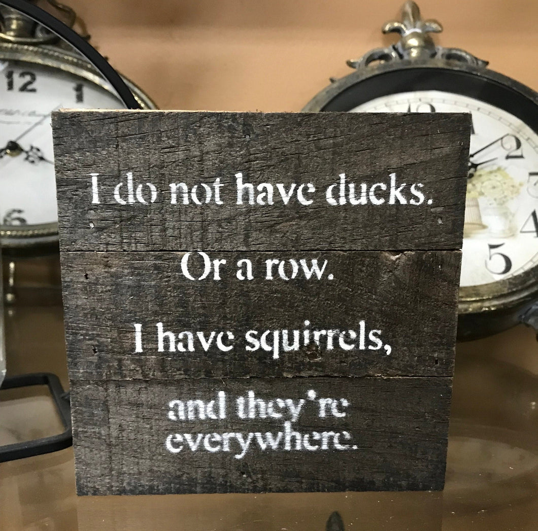 I do not have ducks. Or a row. I have squirrels, and they're everywher