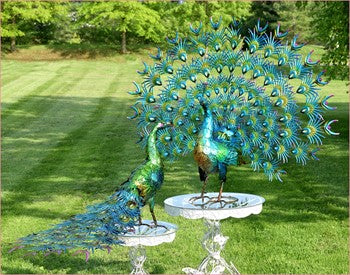 Decorative Peacock Statues | LOCAL PICK UP ONLY